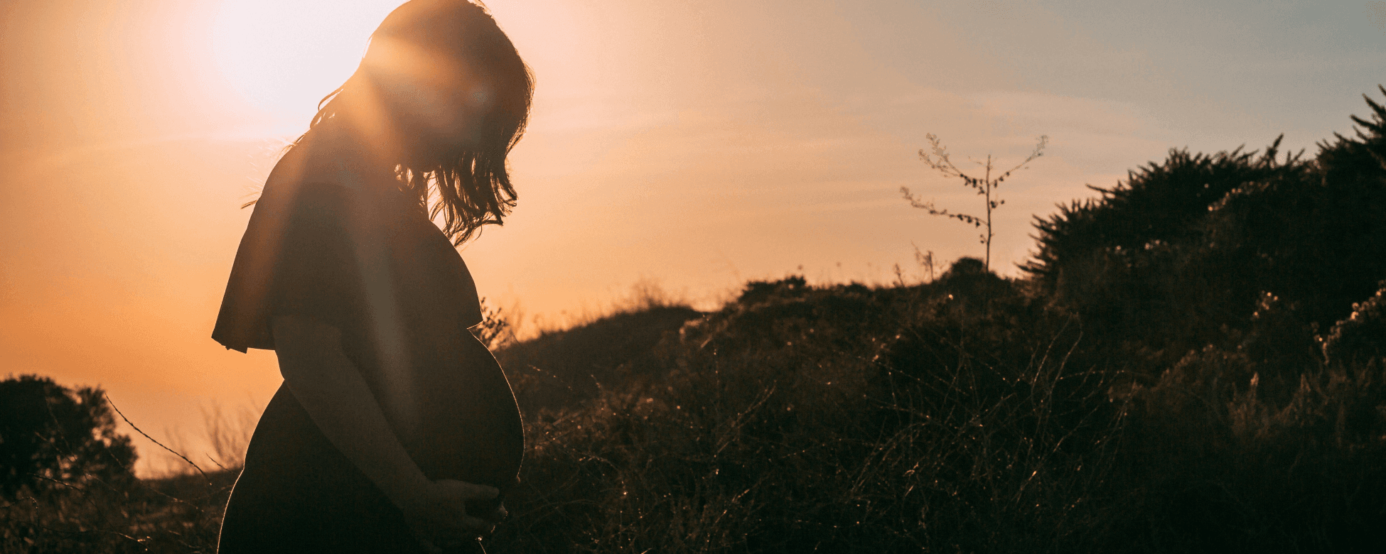 Screen Shot 2024-06-20 at 7.39.10 PM